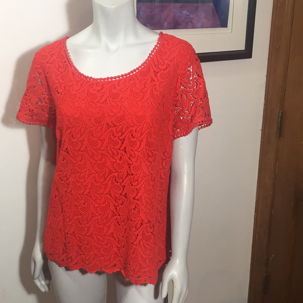 Talbots Top